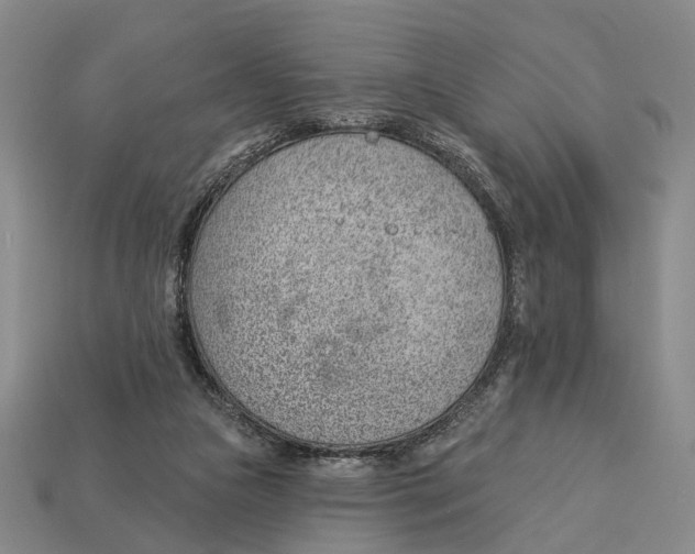 X0000112980161200909241227