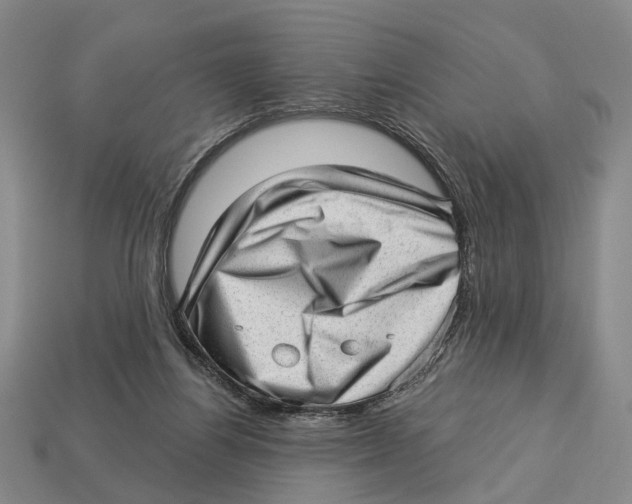 X0000112980164200909241227