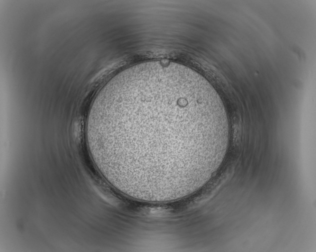 X0000112980165200909241227