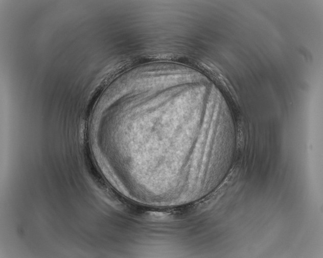 X0000112980167200909241227