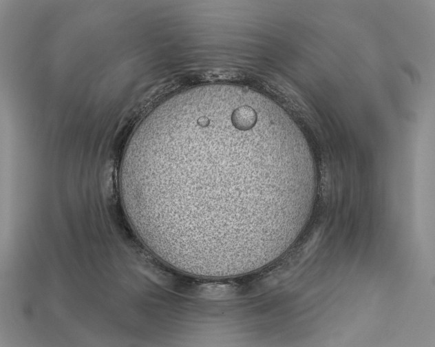 X0000112980169200909241228