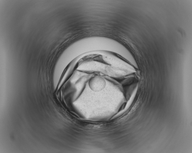 X0000112980170200909241228