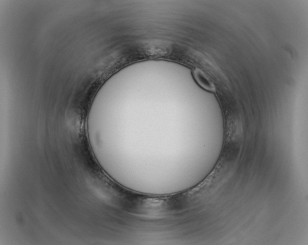X0000112980176200909241228