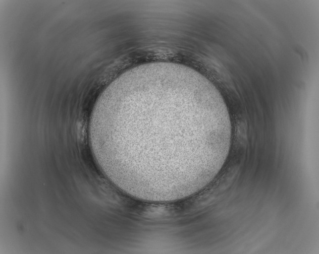 X0000112980177200909241228