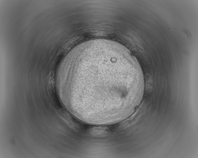 X0000112980179200909241228