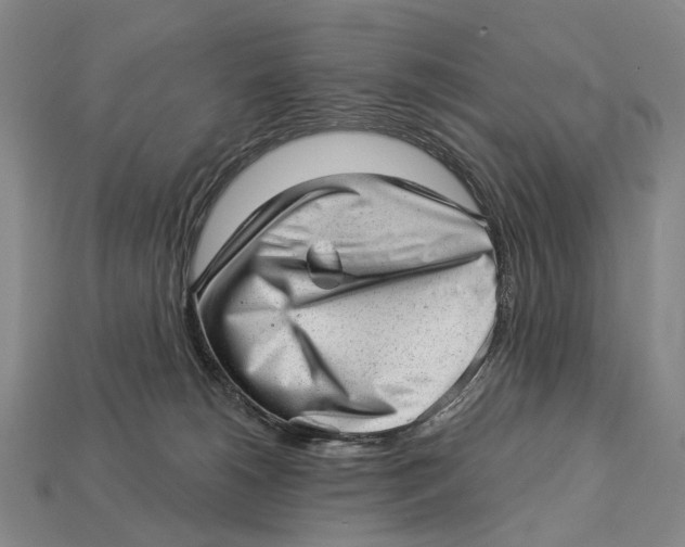 X0000112980180200909241228