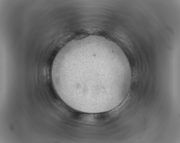 X0000112980182200909241228