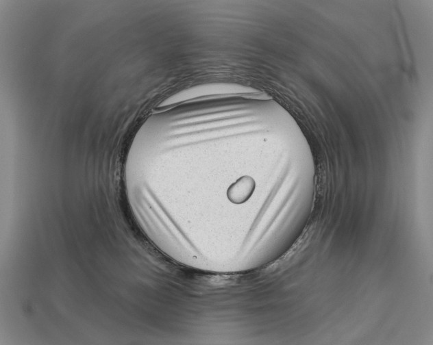 X0000112980184200909241228