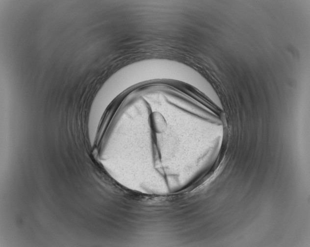 X0000112980186200909241228