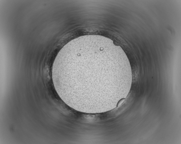 X0000112980187200909241228