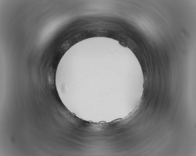 X0000112980190200909241228