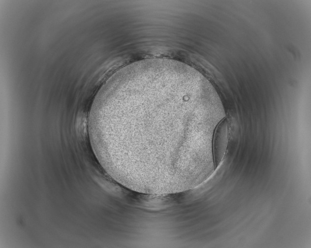 X0000112980191200909241228