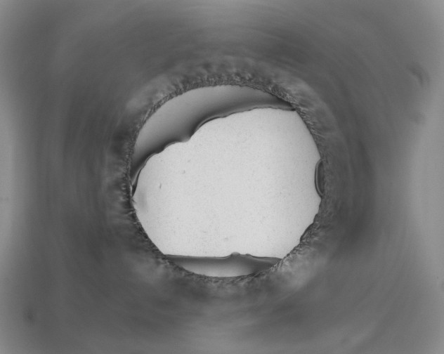 X0000112980192200909241228