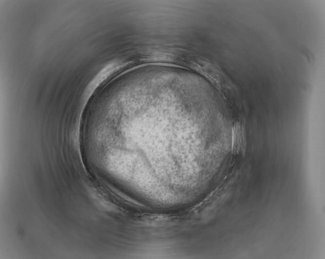 X0000112980195200909241227