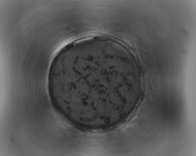 X0000112980196200909241227
