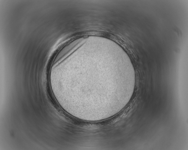X0000112980198200909241227