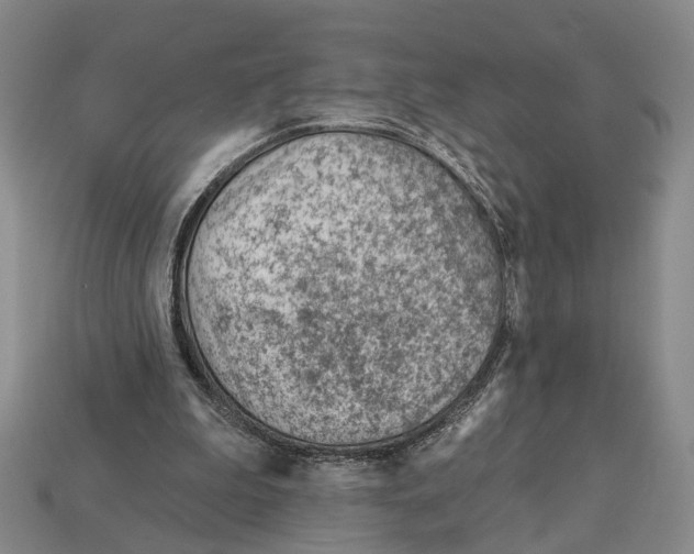 X0000112980199200909241227