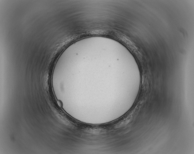 X0000112980201200909241227