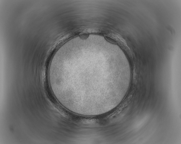 X0000112980202200909241227
