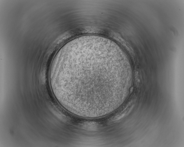 X0000112980203200909241227