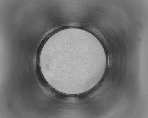X0000112980204200909241227