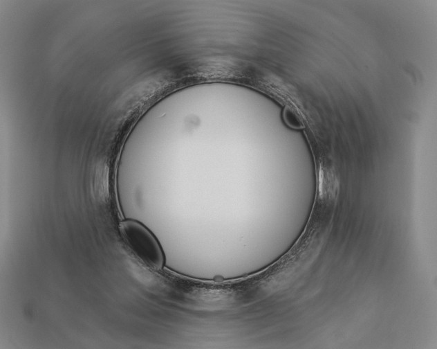 X0000112980205200909241227