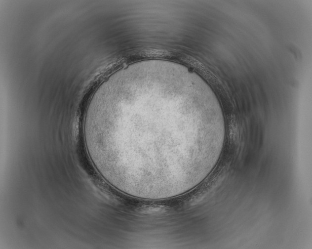 X0000112980206200909241227