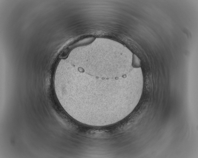 X0000112980208200909241227