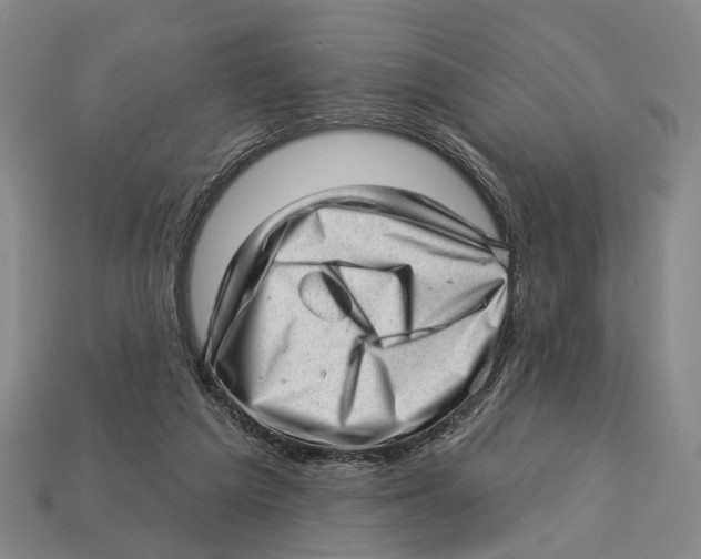 X0000112980209200909241227