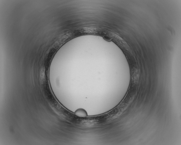 X0000112980213200909241227