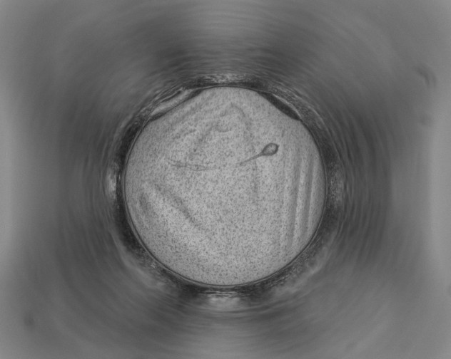 X0000112980214200909241227