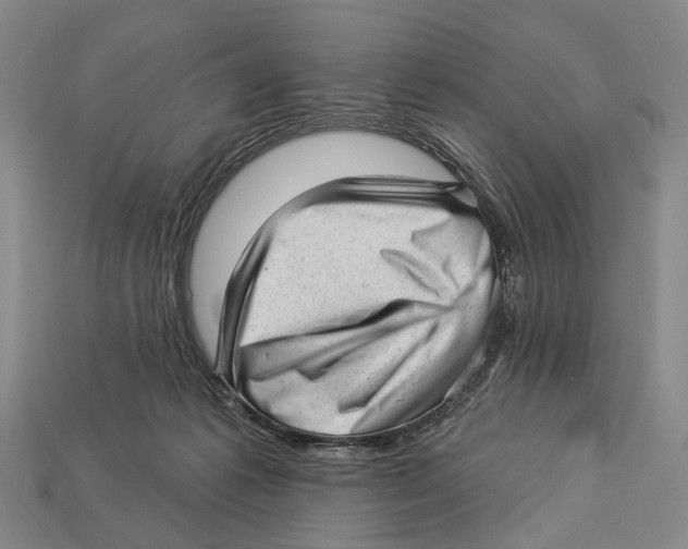 X0000112980221200909241227