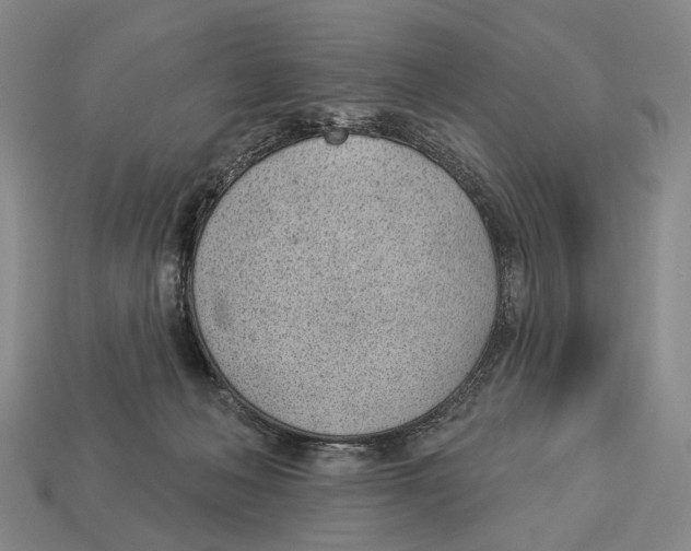 X0000112980222200909241227