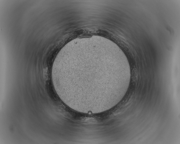 X0000112980224200909241227