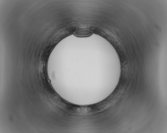 X0000112980225200909241227