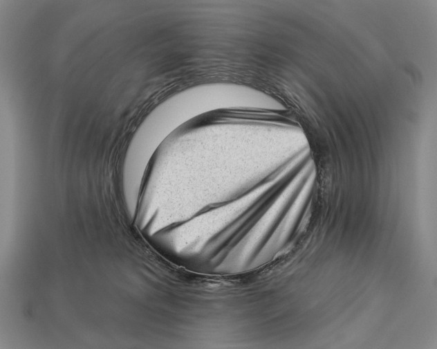 X0000112980229200909241227