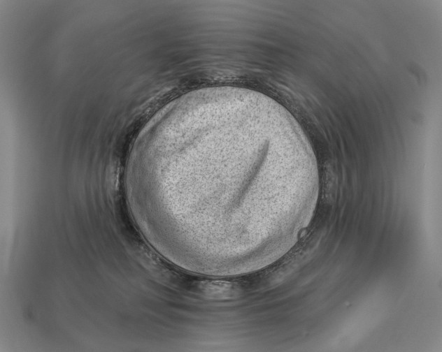 X0000112980230200909241227