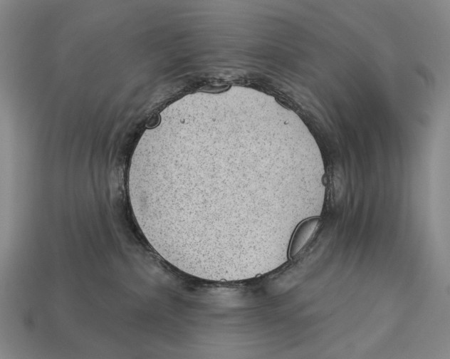 X0000112980236200909241227