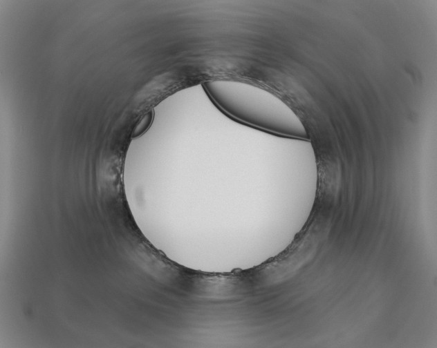 X0000112980237200909241227