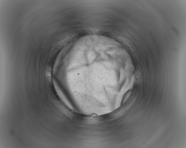 X0000112980238200909241227