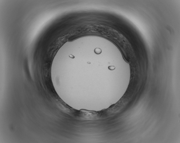 X0000112980239200909241227