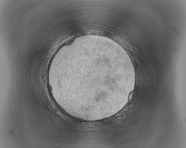 X0000112980241200909241226