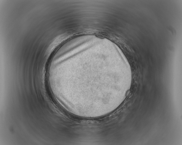 X0000112980242200909241226