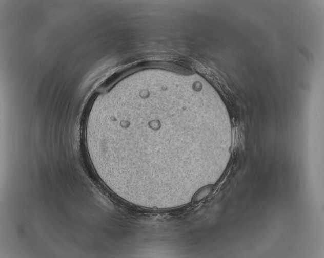 X0000112980243200909241226