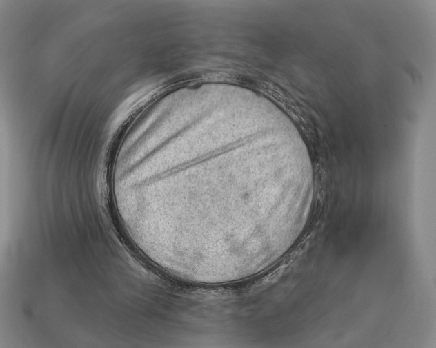 X0000112980245200909241226