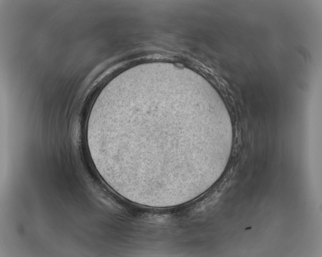 X0000112980247200909241226