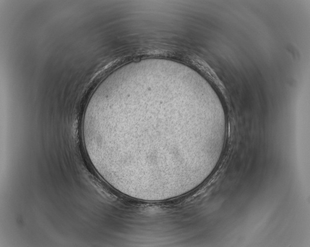 X0000112980249200909241226