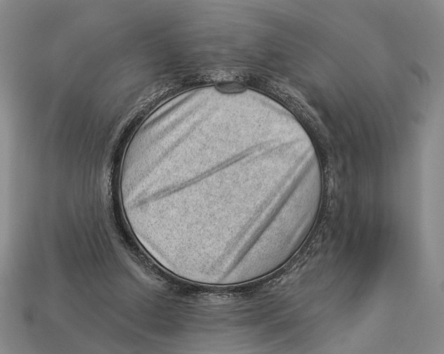 X0000112980250200909241226