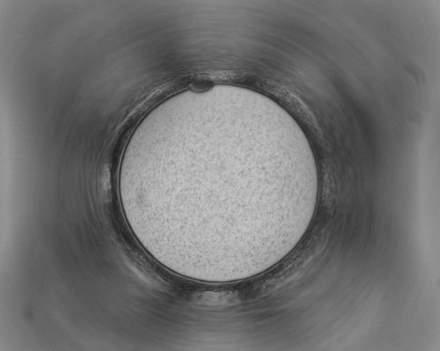 X0000112980251200909241226