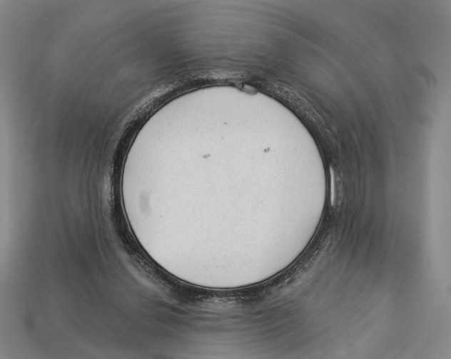 X0000112980252200909241226